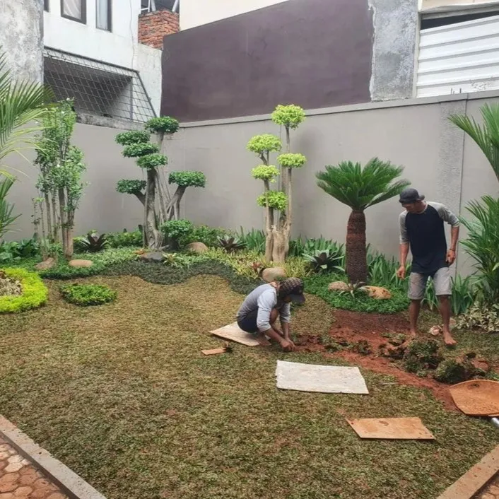 tukang taman minimalis